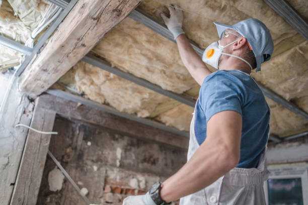 Best Insulation Materials and Products in Springdale, MD