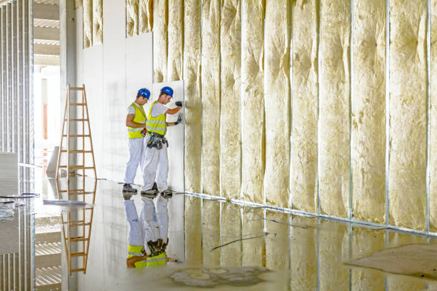 Best Insulation Installation Services in Springdale, MD